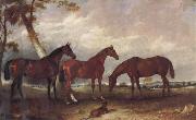 unknow artist Some Horses oil on canvas